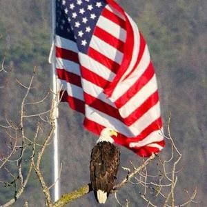 Meet your Posher, Edison